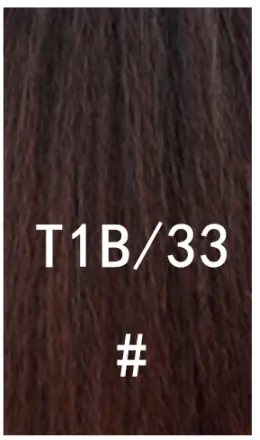 T1B 33
