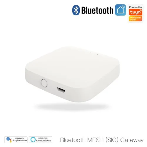 Bluetooth brama