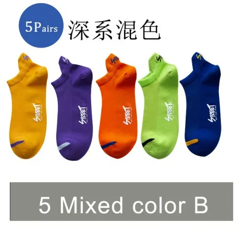 5 Colore B