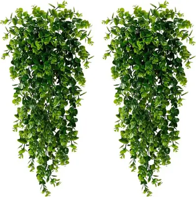 Plantes Artificielles Fougère & Vigne - Décoration Intérieure & Extérieure