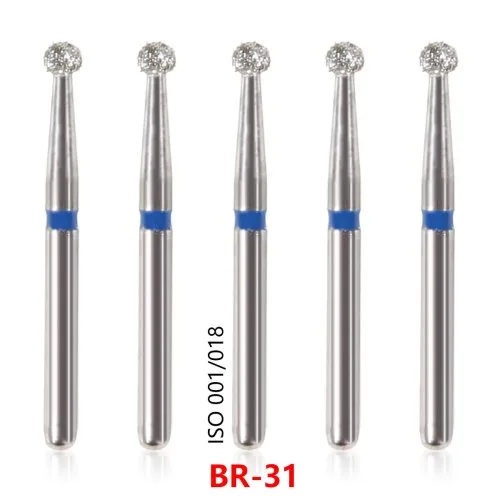 BR-31