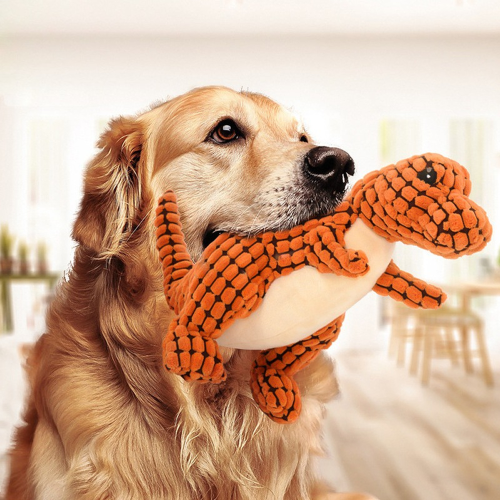 Bild von Plüsch-Dinosaurier Spielzeug für Hunde & Katzen – Interaktives Kauspielzeug