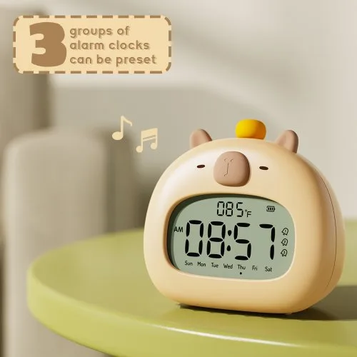 Vue 5 du produit