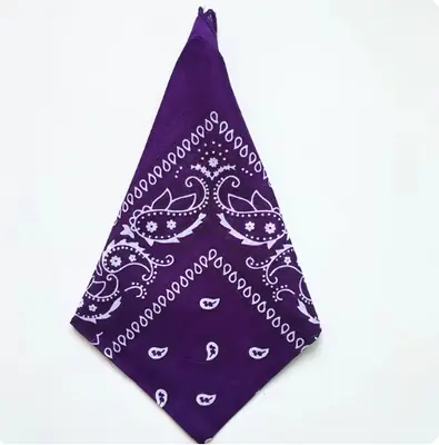 Image de Bandana Hip Hop 55x55 cm - Noir Rouge Paisley