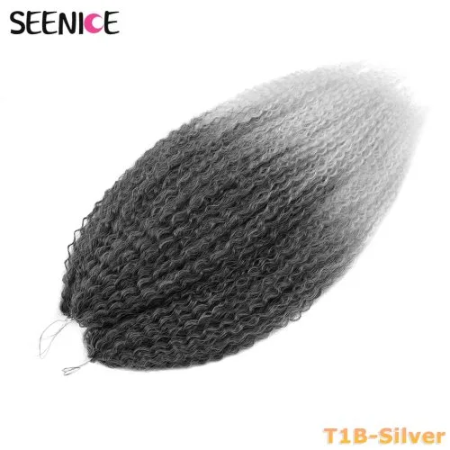 T1B-zilver