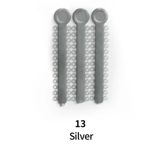 Argent 13