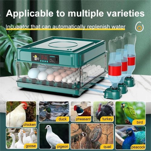 Vue 2 du produit