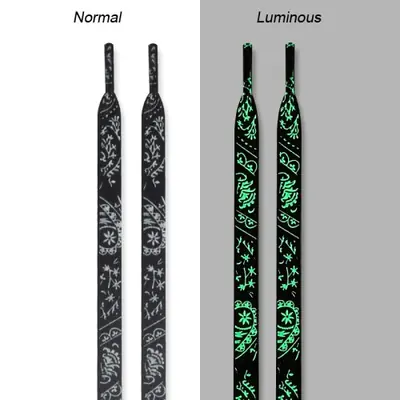 Image de Lacets Lumineux Fluorescents pour Baskets