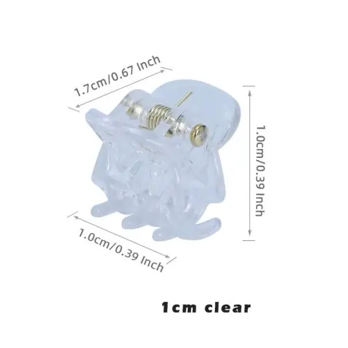 Image de Mini Pinces à Cheveux - Lot de 10