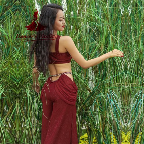 Immagine di Abito Sexy da Danza del Ventre con Gonna Lunga e Spacco