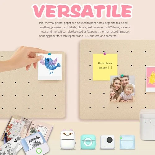 Vue 5 du produit