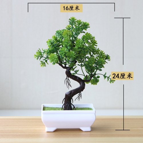 Vue 35 du produit