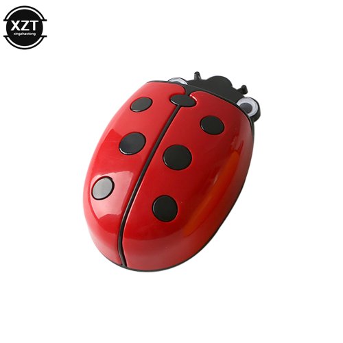 Vue 7 du produit