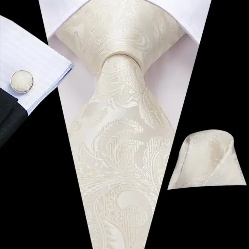 Image de Cravate de Mariage Élégante en Soie - Champagne Floral Paisley