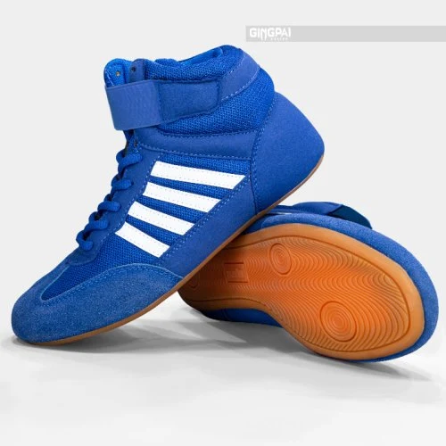 Sdg 2S azul