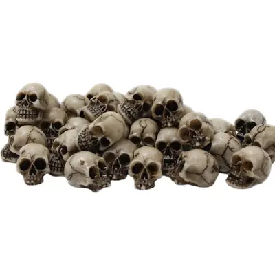 Image de Mini Têtes de Mort - Déco Halloween & Jardin