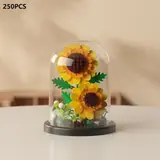 Vue 1 du produit