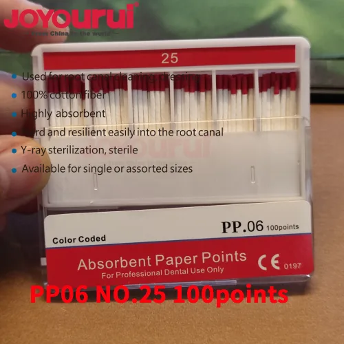 PP06-NO.25