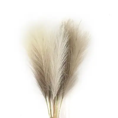 Image de Pampas Artificielles Roseaux Décoratifs - Lot de 6