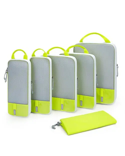 Vert vif 6pcs