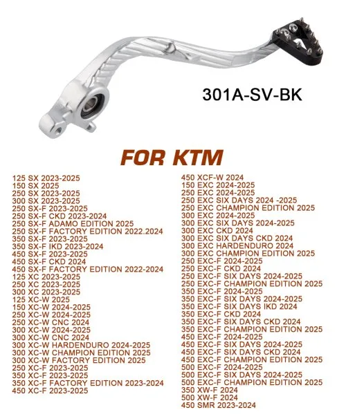 301A Silver BK