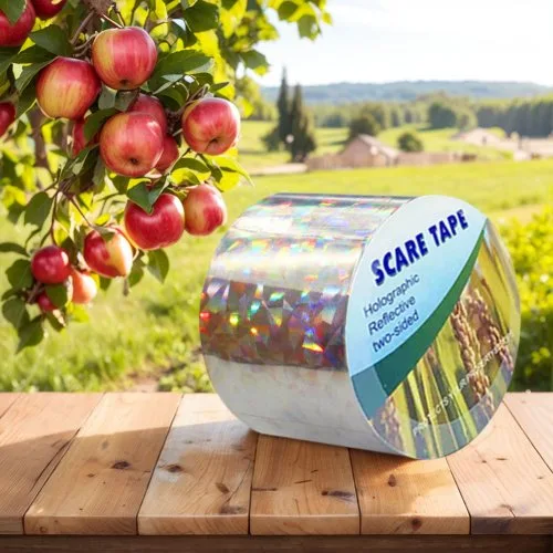Vue 3 du produit