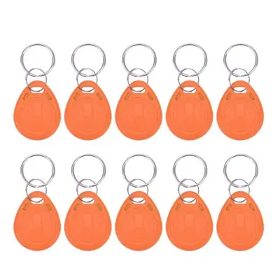 Image de Clés RFID Réinscriptibles 125kHz - Lot de 100 Pièces