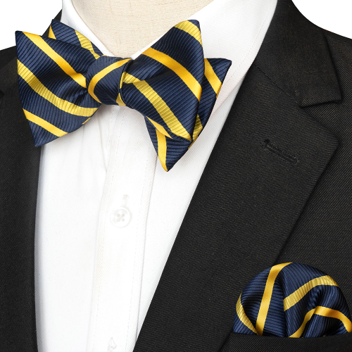 Bild von Elegante Herren-Fliege Set – Stilvoll & Vielseitig