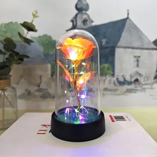 Vue 9 du produit