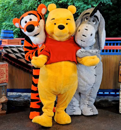 Bild von Disney Winnie Puuh Kostüm – Tigger Cosplay Anzug für Erwachsene