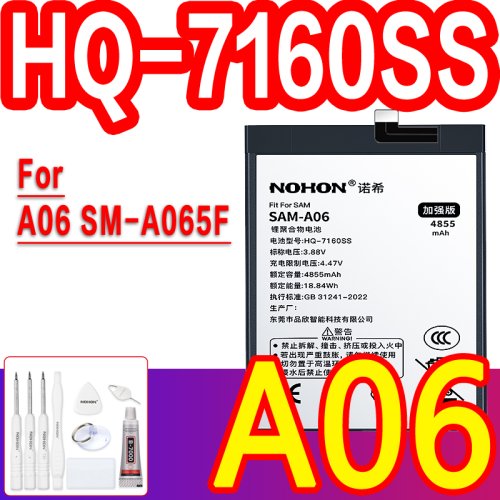 A06