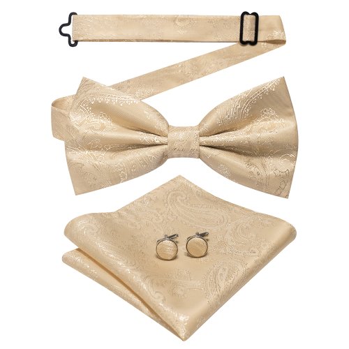 Imagen de Conjunto de Pajarita de Cachemira Azul y Verde para Hombre, Pañuelo Suave de Alta Calidad, Accesorio Elegante para Bodas y Eventos Formales