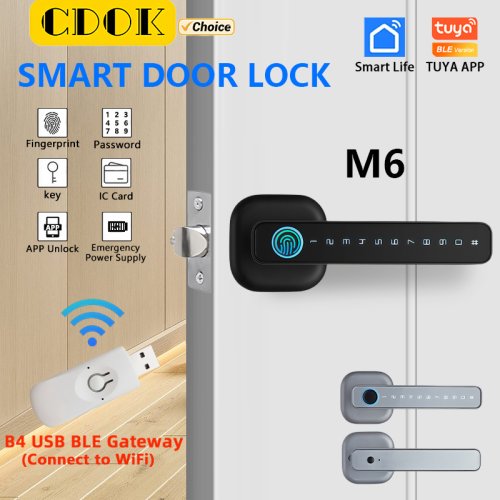 Image of CDOK 2025 New M6 Tuya Bluetooth smart lock, door lock, fingerprint lock, password lock, multiple unlocking methods