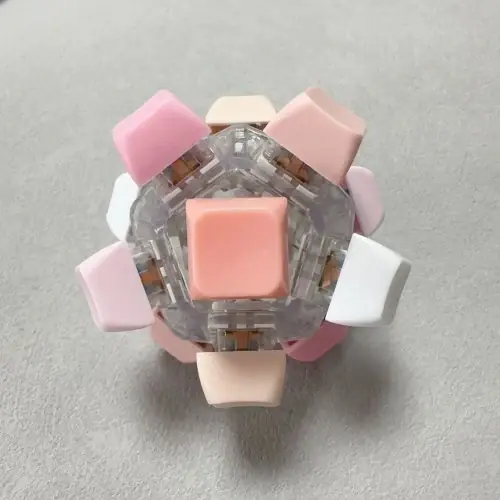 Rosa