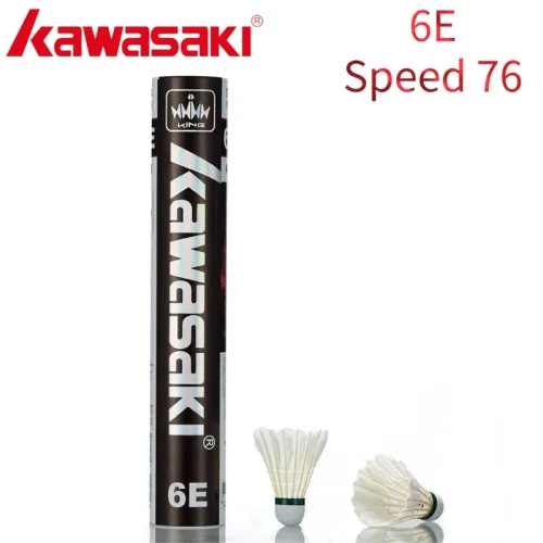 6E-velocidad 76--1Tube