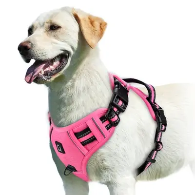Image de Harnais de Contrôle Réglable pour Chien - Doux et Confortable