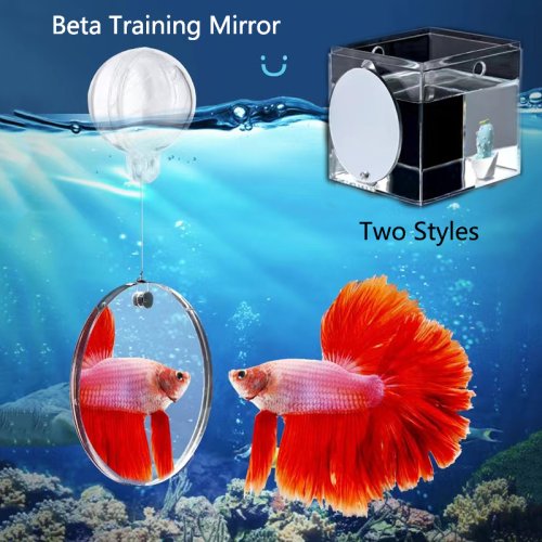 Zdjęcie Akrylowe lustro pływające do akwarium dla ryb betta, flowerhorn i cichlid – okrągłe lustra w rozmiarach 4cm, 5cm, 6cm, 7cm, 8cm, 9cm