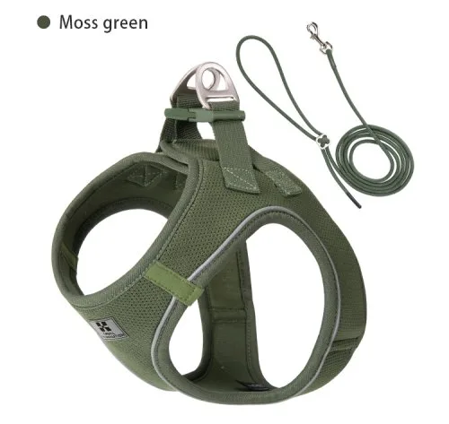 Groen