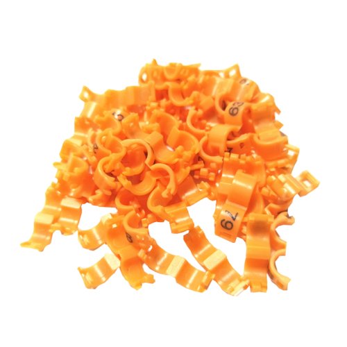 Immagine di 20 Pz Canarino Clip Anello Uccello Piccione Piccolo Pappagallo Gamba Anelli Uccelli Piede Anelli Ucc...