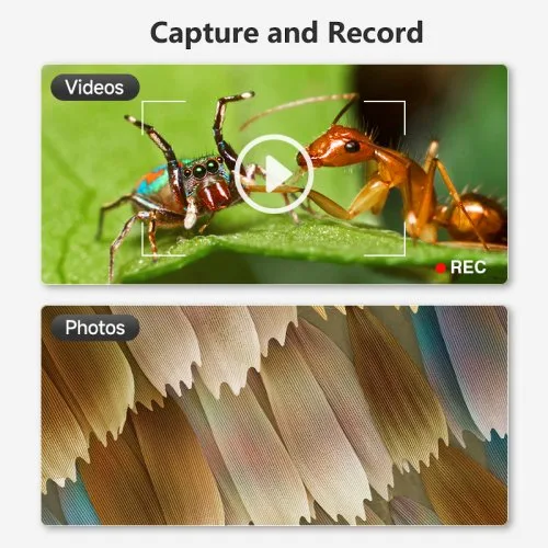 Vue 4 du produit