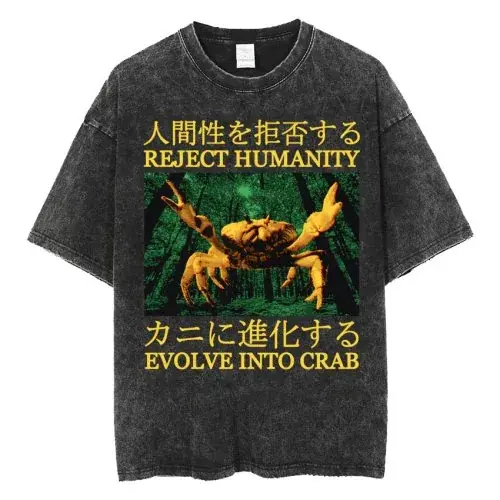 Image de T-Shirt Funny Frog Retro Washed - Homme