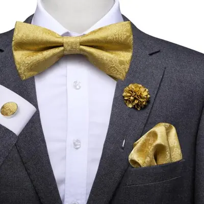 Image de Ensemble Nœud Papillon Homme Luxe Jaune - Soie & Accessoires de Mariage