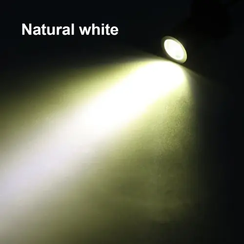 Neutralny biały