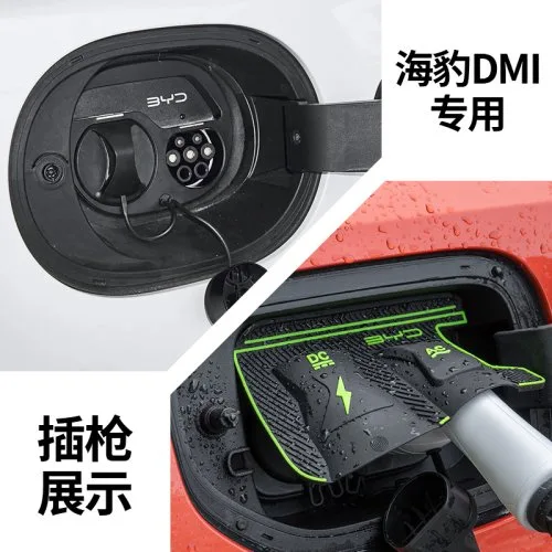 Do BYD Seal DMI