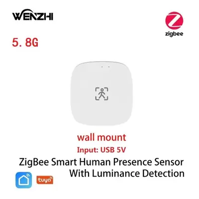 Image de Capteur de Mouvement Intelligent Zigbee & WiFi