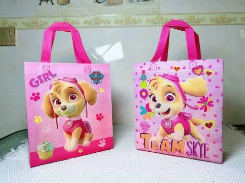 2pcs bolsas