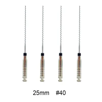 Image de Supports de Pâte Dentaire Lentulo 21mm & 25mm - Kit Endodontie