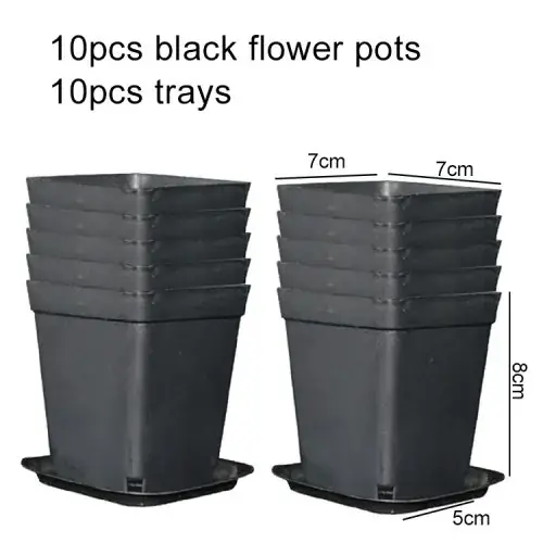 10pcs TPHP noir
