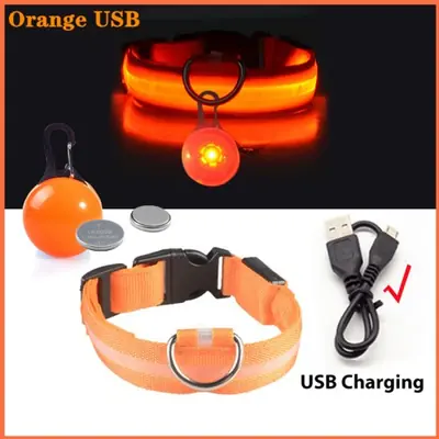 Image de Collier LED Lumineux pour Chien et Chat Rechargeable USB