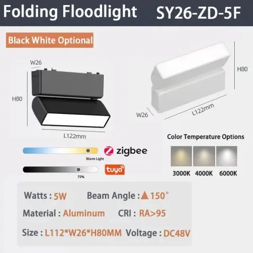6W F-projecteur
